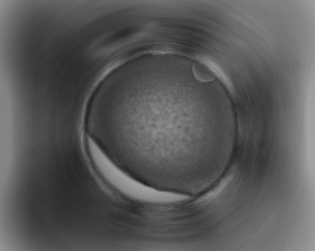 X0000092070845200709262044