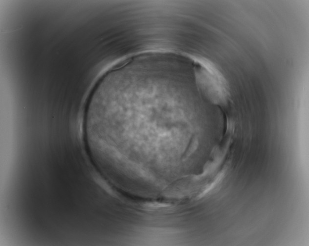 X0000092070846200709262044