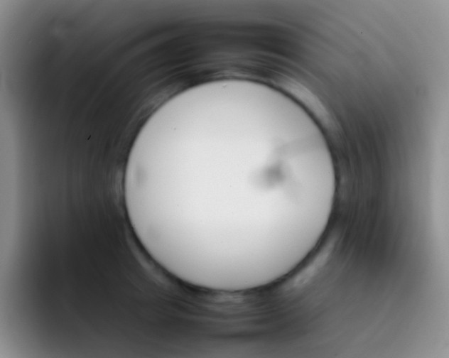 X0000092070849200709262044