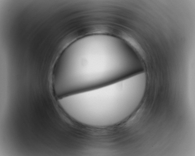 X0000092070850200709262044