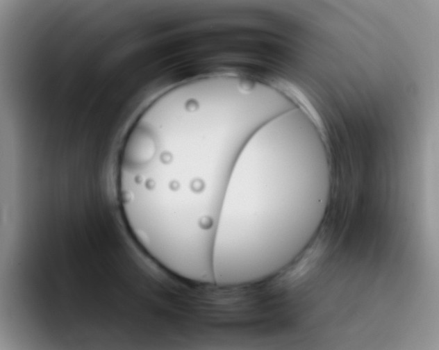 X0000092070851200709262044
