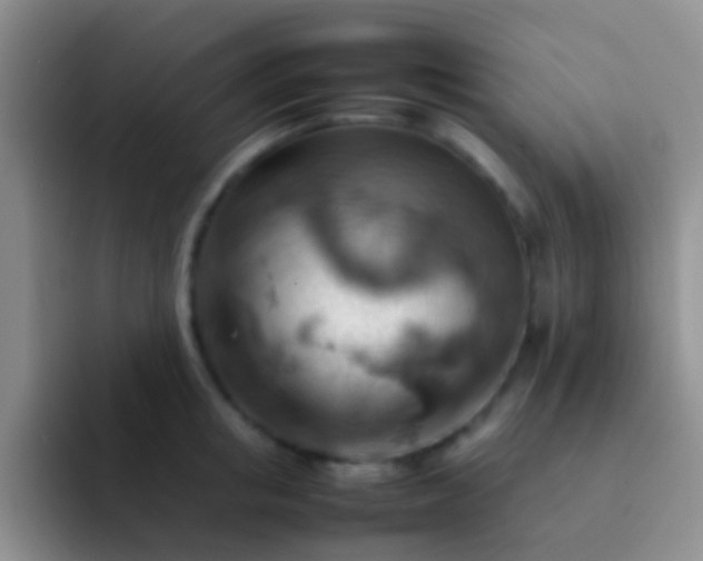 X0000092070853200709262044