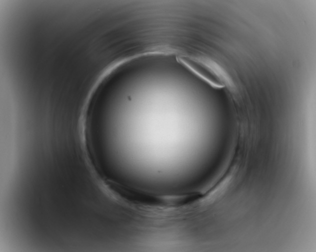X0000092070854200709262044