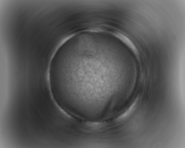 X0000092070855200709262044