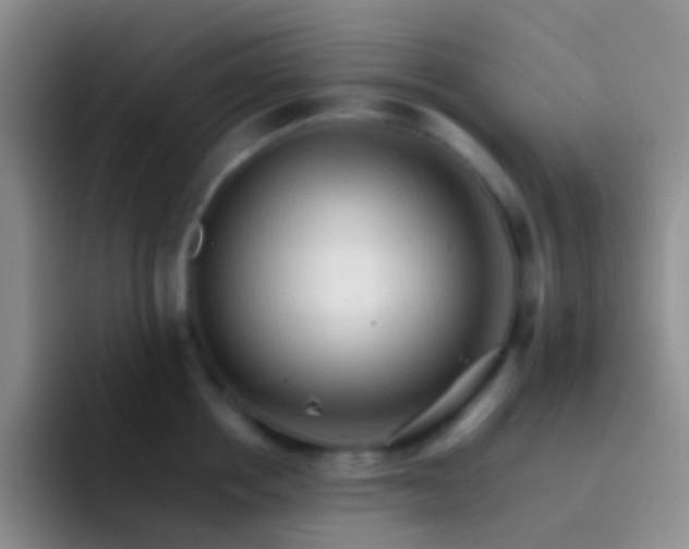X0000092070858200709262044