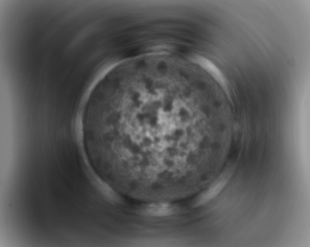 X0000092070859200709262044