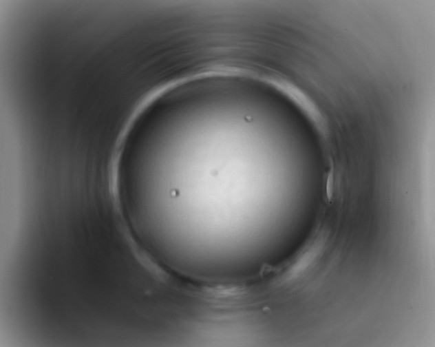 X0000092070862200709262044