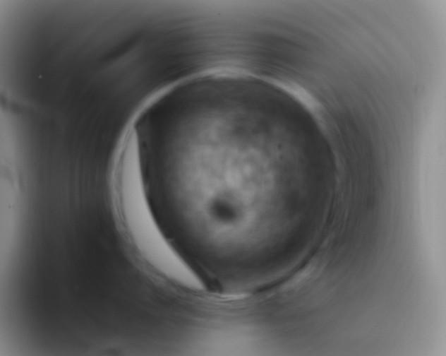 X0000092070864200709262045