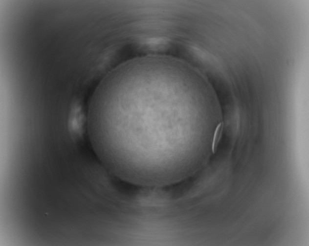 X0000092070866200709262044