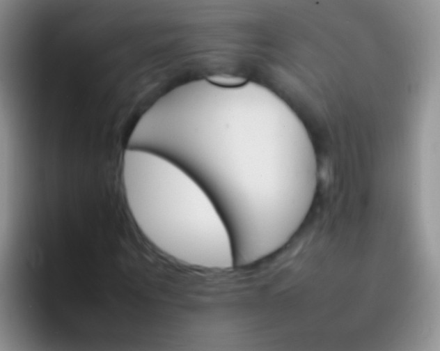 X0000092070867200709262044