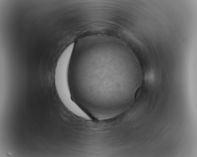 X0000092070868200709262044