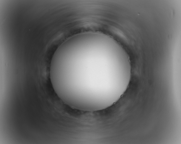 X0000092070869200709262044