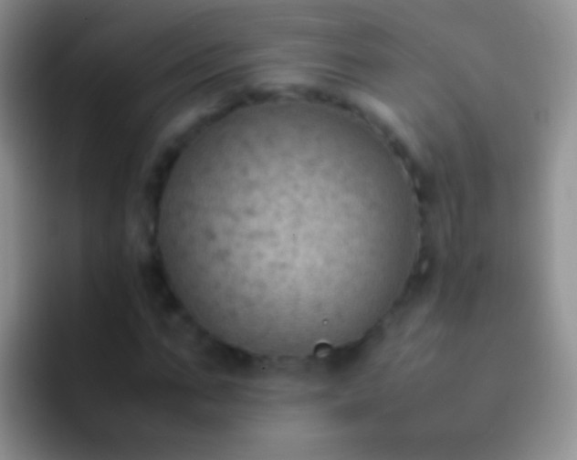 X0000092070871200709262044