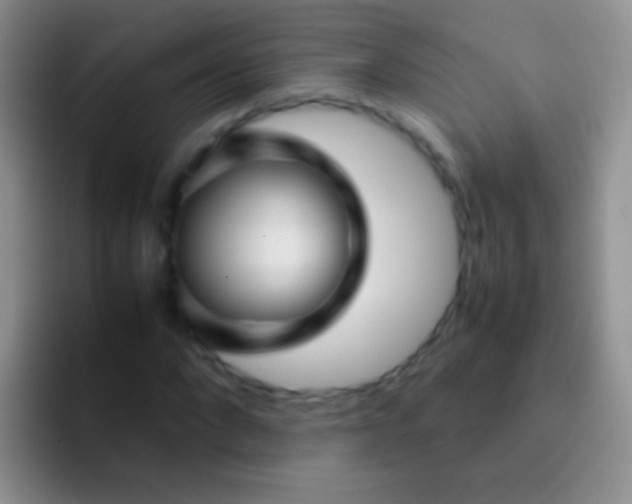 X0000092070872200709262044