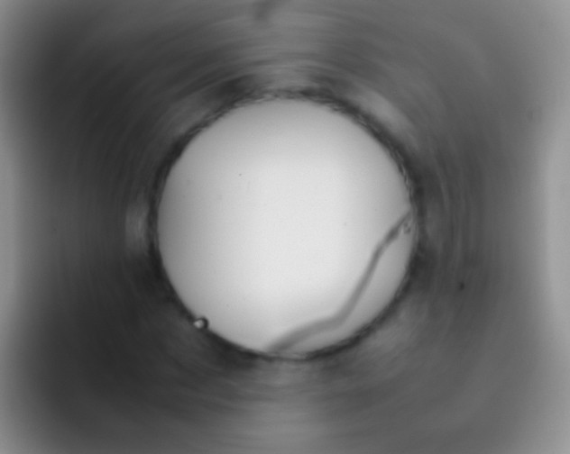 X0000092070873200709262044