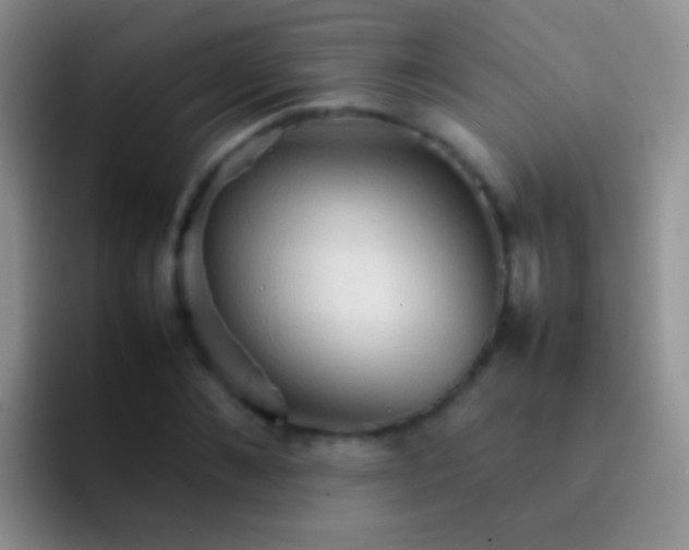 X0000092070876200709262044