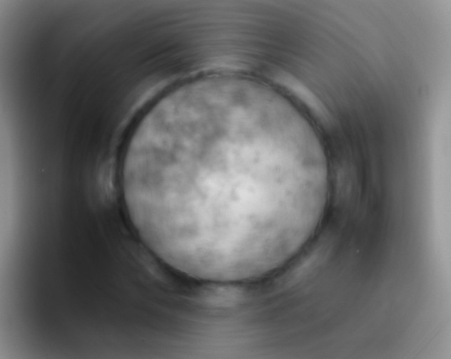X0000092070878200709262044