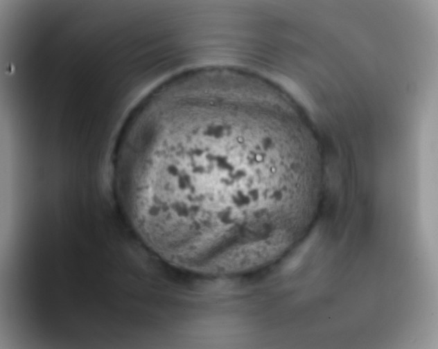 X0000092070879200709262044