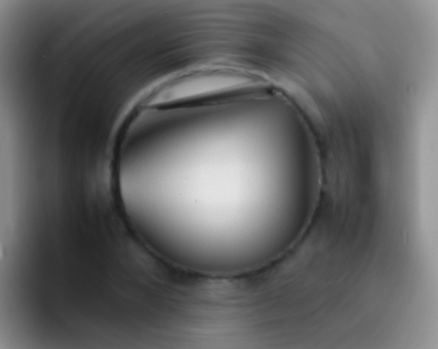 X0000092070880200709262044