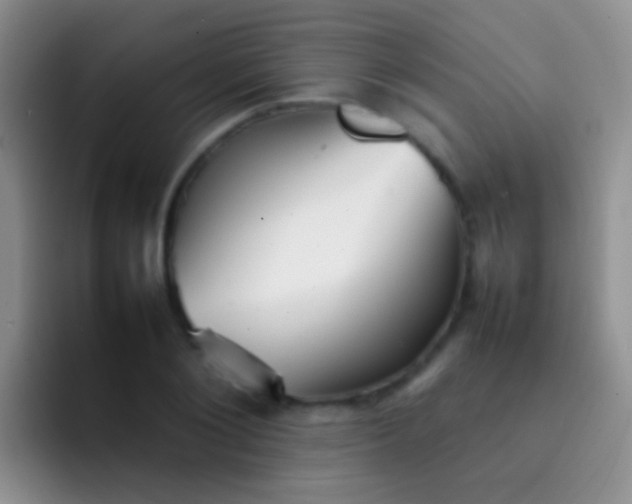 X0000092070884200709262044