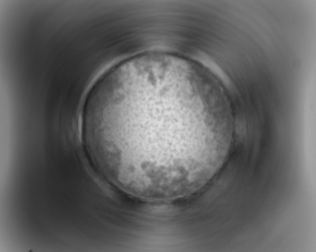 X0000092070886200709262044