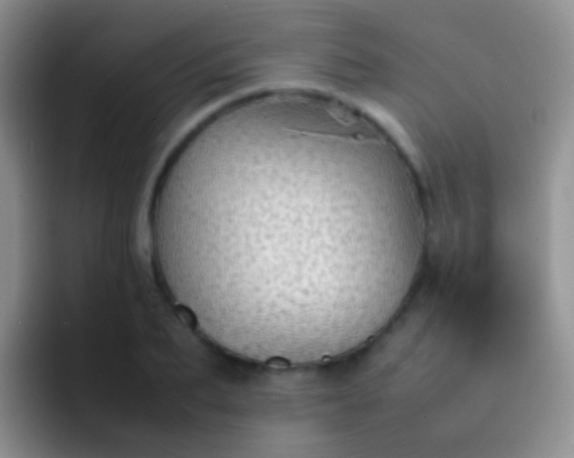 X0000092070887200709262044
