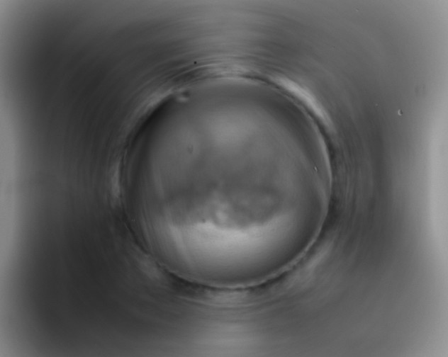 X0000092070889200709262044