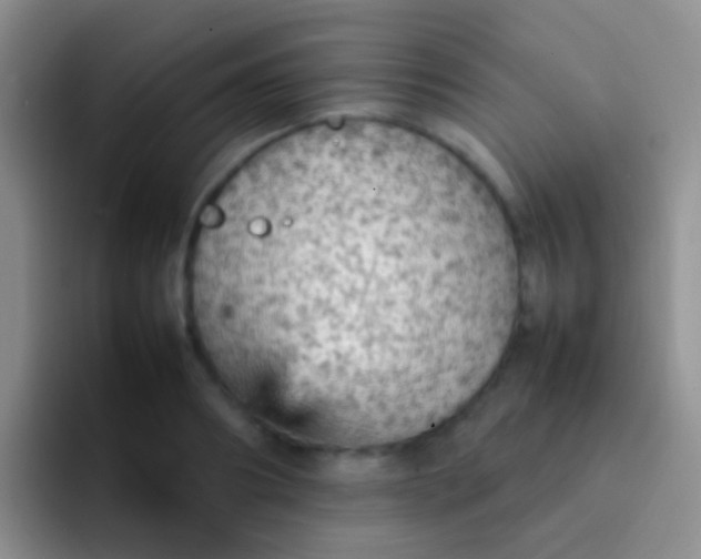 X0000092070890200709262044