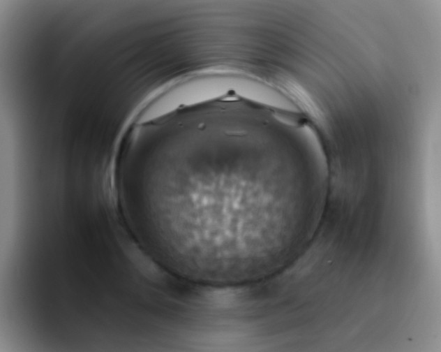 X0000092070892200709262044