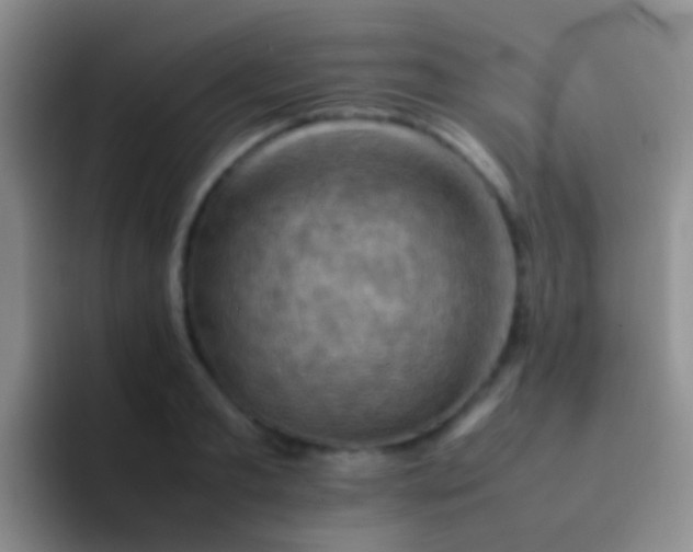 X0000092070893200709262044