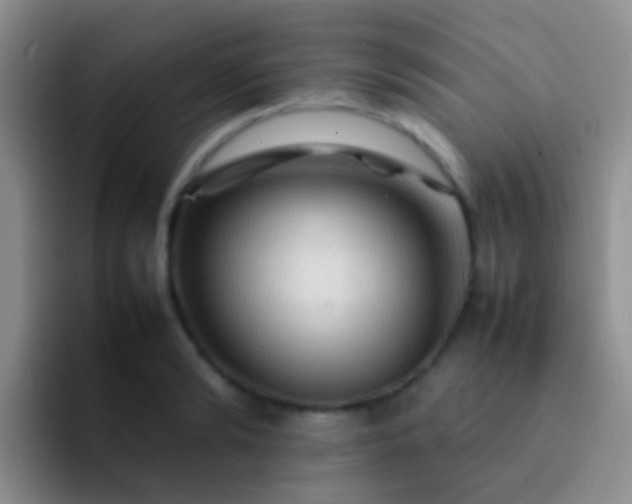 X0000092070894200709262044