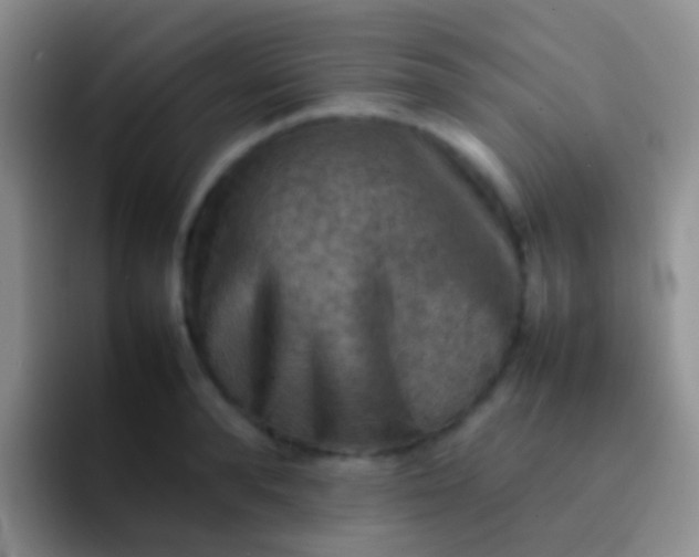 X0000092070896200709262044