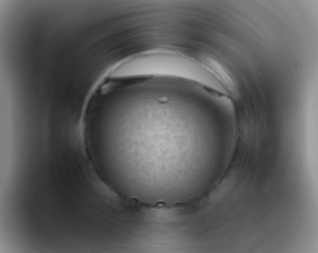 X0000092070900200709262044