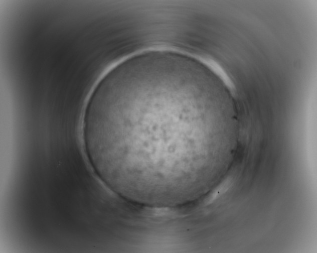 X0000092070903200709262044