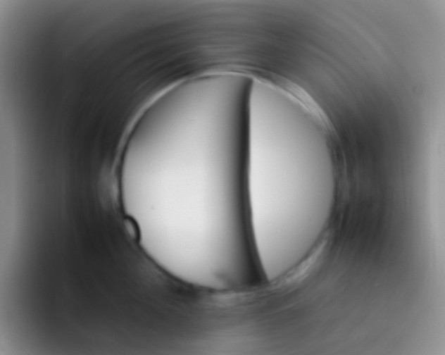 X0000092070908200709262043
