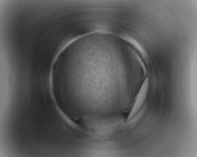 X0000092070910200709262043