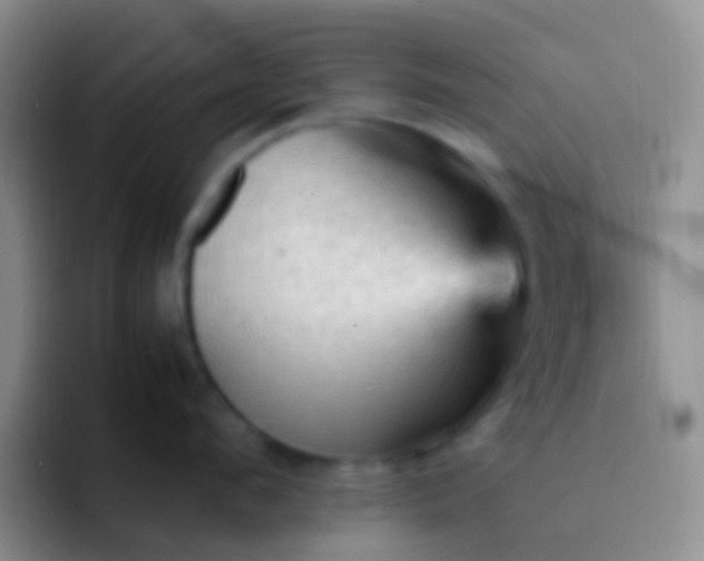 X0000092070912200709262043