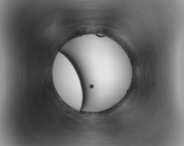 X0000092070914200709262043