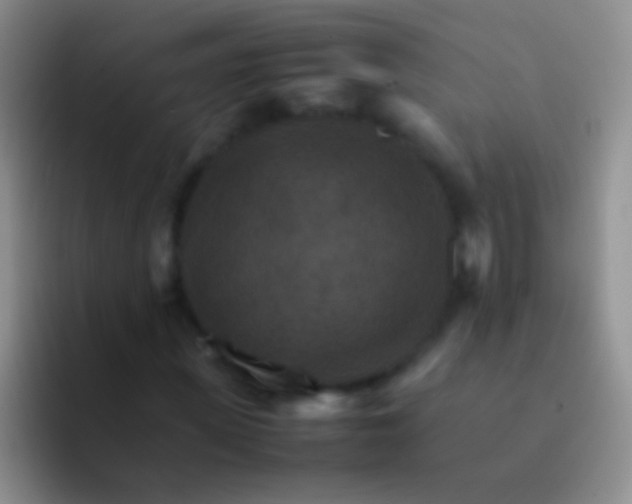 X0000092070915200709262043