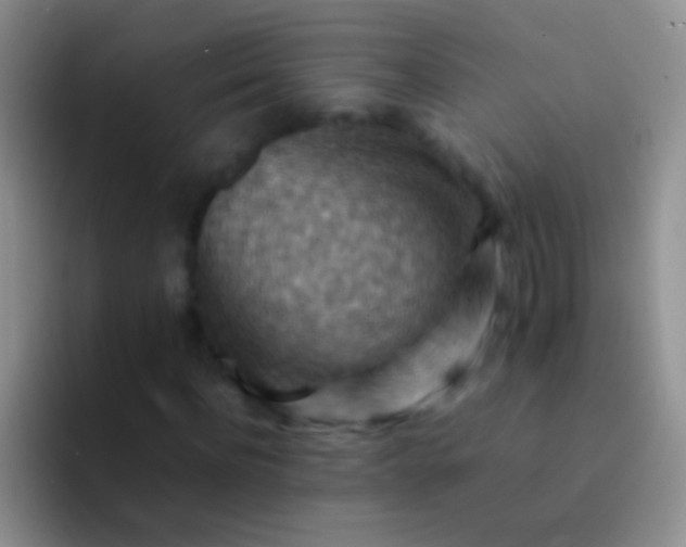 X0000092070916200709262043