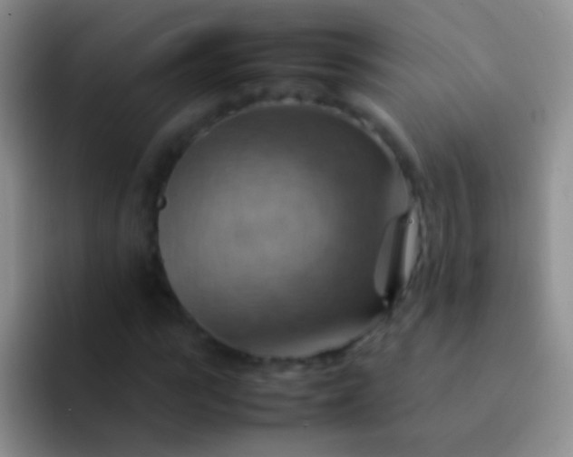X0000092070919200709262043