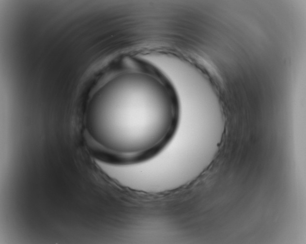 X0000092070920200709262043