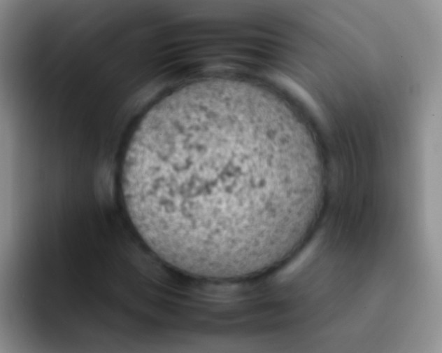 X0000092070921200709262043