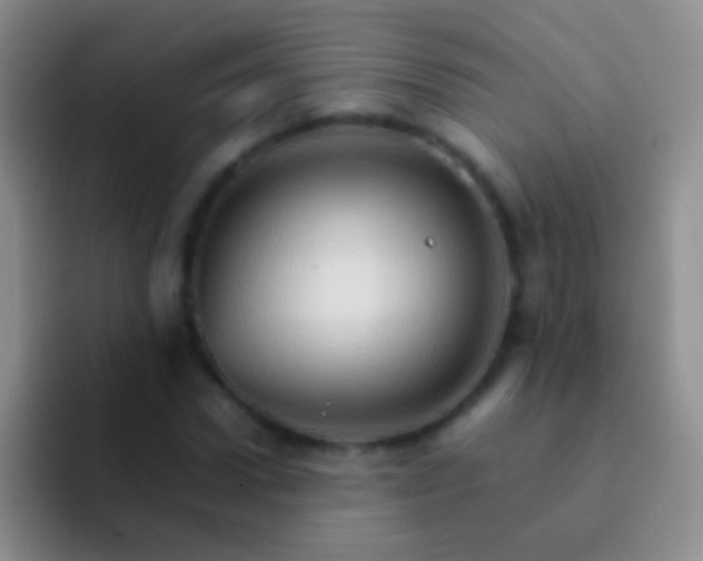 X0000092070922200709262043