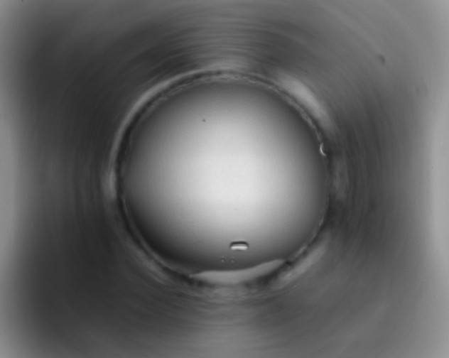 X0000092070924200709262043