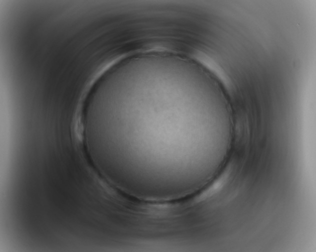 X0000092070925200709262043