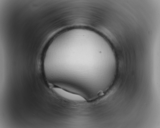 X0000092070926200709262043