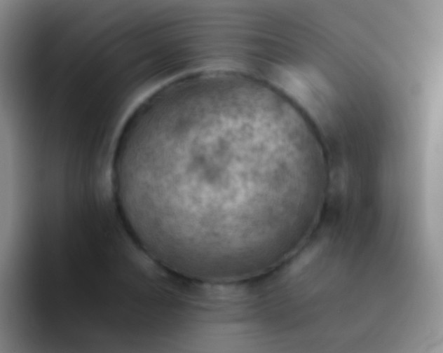 X0000092070928200709262043
