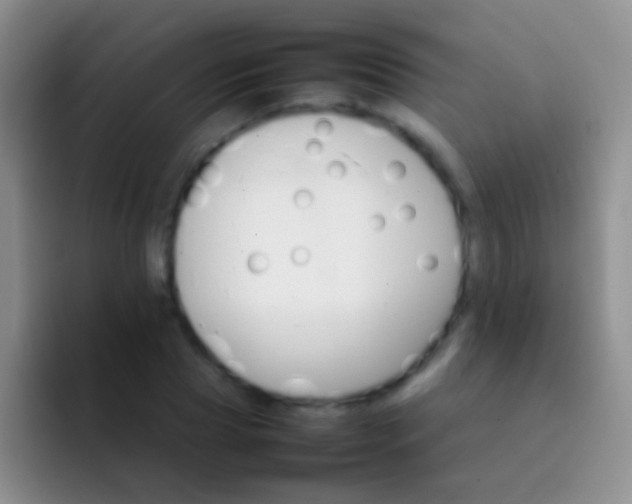 X0000092070929200709262043