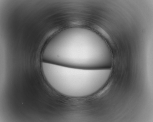 X0000092070930200709262043
